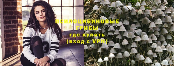 прущие крисы Чегем