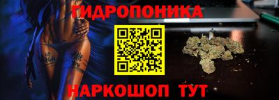 кокс Берёзовский