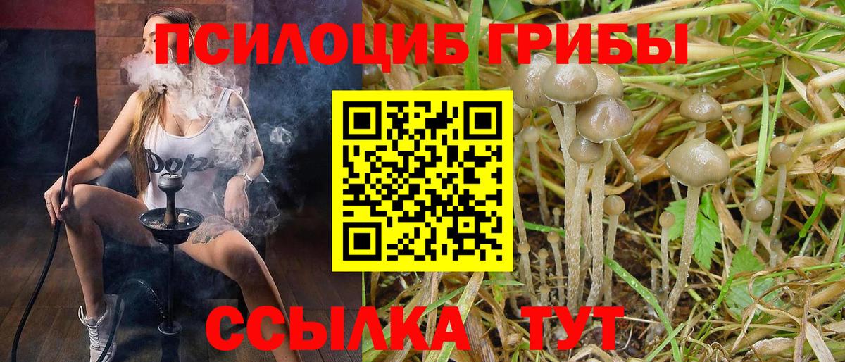 Псилоцибиновые грибы GOLDEN TEACHER  Вход с VPN  Благодарный 