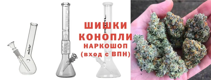 где продают наркотики  Благодарный  Бошки марихуана SATIVA & INDICA 