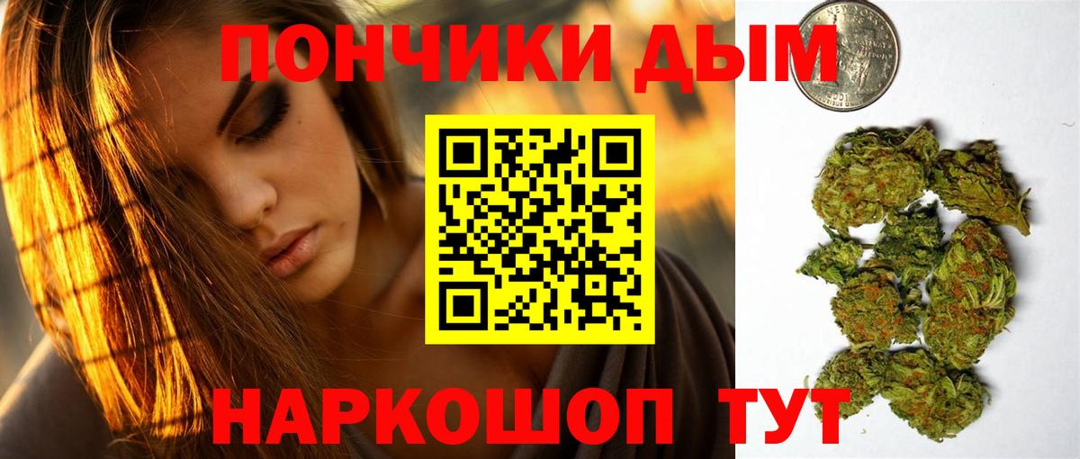 Канабис OG Kush  Бошки марихуана план  Благодарный  Бошки марихуана марихуана 