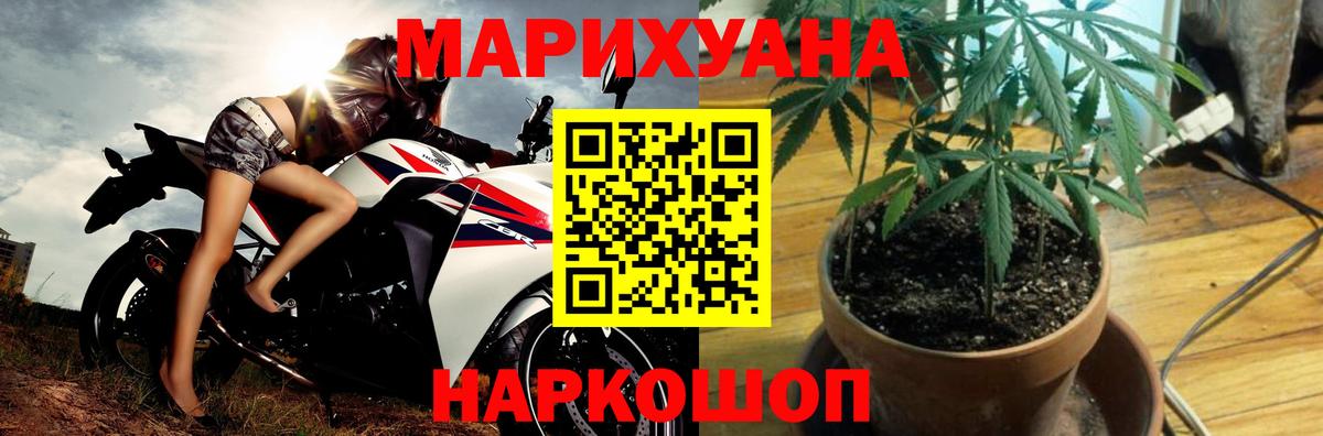Бошки марихуана гибрид  Шишки марихуана марихуана  Канабис OG Kush  Вход с VPN  Благодарный 